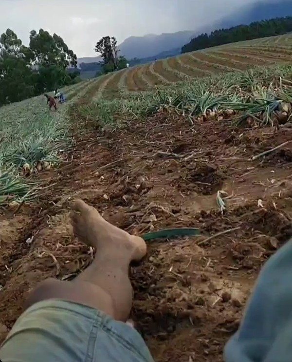 trabalhadores paraibanos