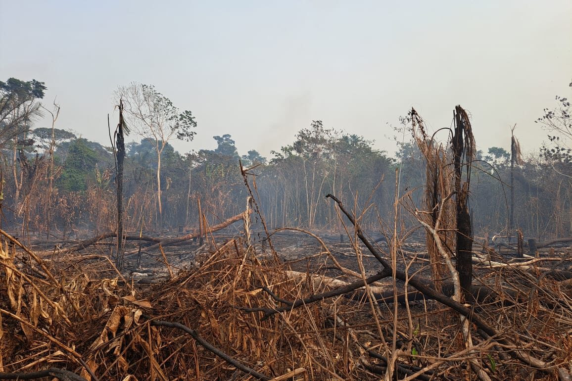 Immagine-WhatsApp-2024-02-21-ore-18.32.17_c920588f-1