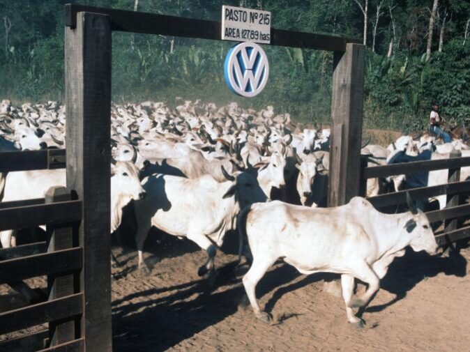 fazenda-vale-do-rio-cristalino-de-propriedade-da-volkswagen-nos-anos-70-1660240907538_v2_900x506